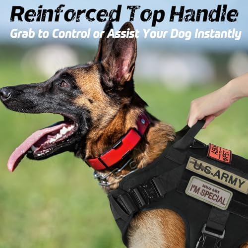 rabbitgoo Tactical Dog Harness for Large, Heavy Duty Pet Harness with Handle, No-Pull Service Vest Large Breed, Adjustable Military Dog Vest for Training Hunting Walking, Black, L