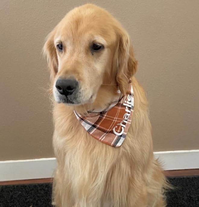 Plaid Bandana Personalized, Embroidered, Buffalo Plaid, Custom Pet Neckwear