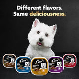 CESAR Puppy Wet Dog Food Classic Loaf in Sauce Chicken & Beef Recipe, (24) 3.5 oz. Easy Peel Trays