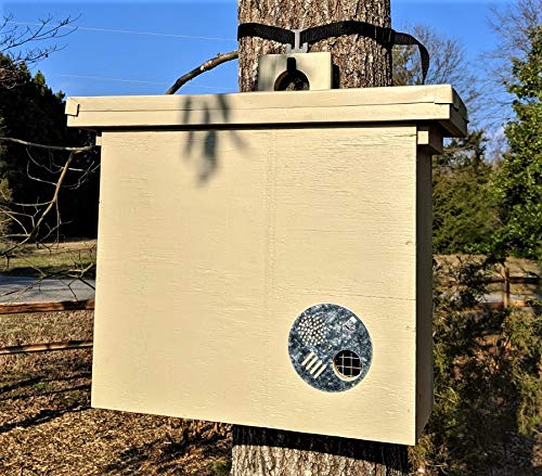 Swarm Trap Hanger - Hang Your Swarm Trap Quickly and with Confidence - NO More POUNDING in Nails! -Tree Friendly!