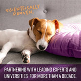 Sentry Calming Chews for Dogs, Calming Aid Helps to Manage Stress & Anxiety, with Pheromones That May Help Curb Destructive Behavior & Separation Anxiety, Calming Health Supplement for Dogs, 60 Count