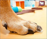 TAKTIKAL Dr. McHenry's Dog Toe Treads, Set of 24, Adhesive, Cleaning Brush, Increased Traction, Mobility Support, Large Kit- Weight: 40-60 lbs. Net Weight 1.6 oz.