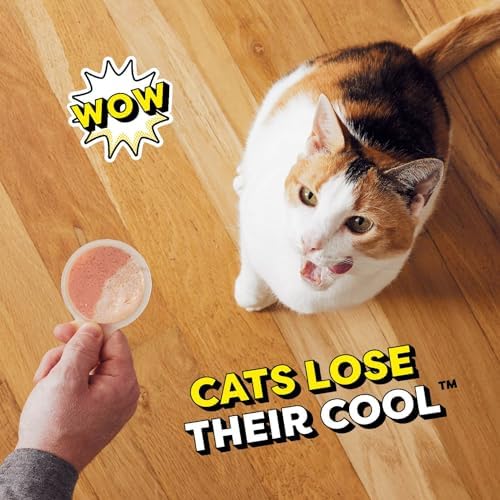 Temptations Lickable Spoons Adult Wet Cat Treat, Savory Salmon and Tempting Tuna Flavor, 10 Grams, Pack of 12 (96 Total Spoons)