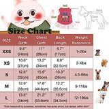 XPUDAC 4 Pieces Dog Dress Shirt Puppy Clothes for Small Girl Cute Doggie Dresses Summer Clothes Apparel for Dogs Cats (Pink Angel, Medium(8-11 lbs))