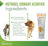 Vetoquinol Methigel Urinary Acidifier to Promote Urinary and Bladder Health for Dogs & Cats