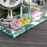 220 Pcs Mini Resin Ducks Luminous Tiny Ducks Miniature Duck Glow in The Dark for DIY Garden Dollhouse Duck Accessories Micro Landscape Aquarium Party Decor
