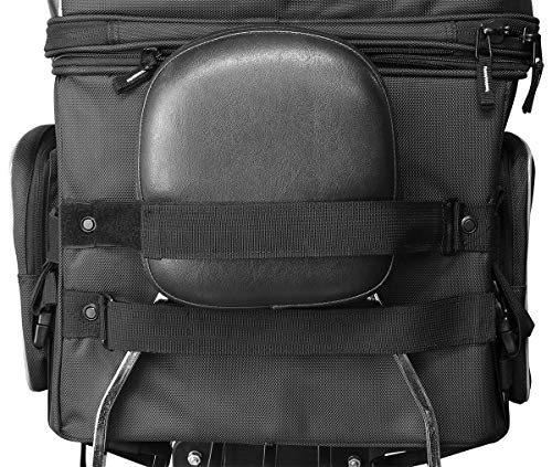 Nelson-Rigg Route 1 Rover Pet Carrier: Weather Resistant, Portable, and Secure Motorcycle pet Carrier/Crate; Fits Harley Davidson, Indian, Yamaha & Suzuki Motorcycles