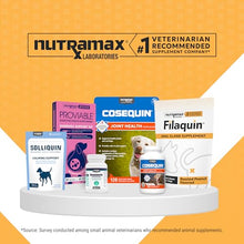 Load image into Gallery viewer, Nutramax Filaquin Anal Gland Supplement for Dogs, from The Same Company as Cosequin &amp; Proviable, with Pre &amp; Postbiotics and Psyllium Husk Fiber to Support Anal Gland Health, 90 Count Soft Chews
