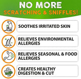 Dog Allergy Relief Chews - Dog Itch Relief - Omega 3 Fish Oil + Probiotics - Itchy Skin - Seasonal Allergies - Anti Itch Support & Hot Spots - Immune Supplement for Dogs