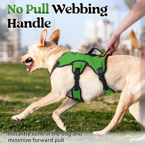 rabbitgoo Escape Proof Dog Harness, Soft Padded Full Body Pet Harness, Reflective Adjustable No Pull Vest with Lift Handle and Lesh Clip for Large Dogs Walking Hiking Training, M, Green