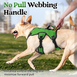 rabbitgoo Escape Proof Dog Harness, Soft Padded Full Body Pet Harness, Reflective Adjustable No Pull Vest with Lift Handle and Lesh Clip for Large Dogs Walking Hiking Training, M, Green