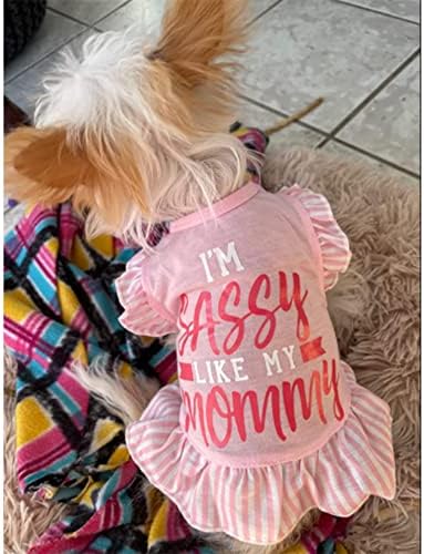 XPUDAC 4 Pieces Dog Dress Shirt Puppy Clothes for Small Girl Cute Doggie Dresses Summer Clothes Apparel for Dogs Cats (Pink Angel, Medium(8-11 lbs))