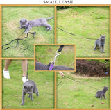 AMAGOOD 6 FT Puppy/Dog Leash, Strong and Durable Traditional Style Leash with Easy to Use Collar Hook,Dog Lead Great for Small and Medium and Large Dog (5/8 in x 6 ft, Black and Purple(2-Pack))