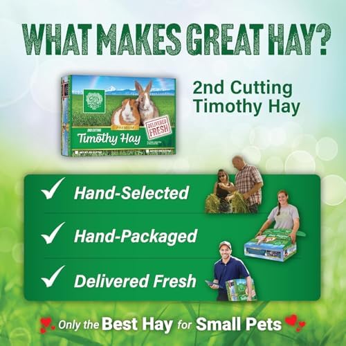 Small Pet Select 2nd Cutting Perfect Blend Timothy Hay Pet Food for Rabbits, Guinea Pigs, Chinchillas and Other Small Animals, Premium Natural Hay Grown in The US, 2 LB