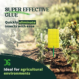 Catchmaster GRO Yellow Sticky Trap 72PK, Adhesive Outdoor Insect Trap, Protect Live Plants Indoor, Bug, & Fruit Fly Trap, Glue Traps for Home, Farm, Garden, Hydroponics, & Greenhouse, Pest Control
