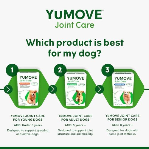 Hip and Joint Supplement for Dogs with Glucosamine, Chondroitin, MSM, Omega 3, Hyaluronic Acid, Green Lipped Mussel, & Fish Oil for Dogs - Joint Support Supplement - Senior Dogs, 240ct Tablets