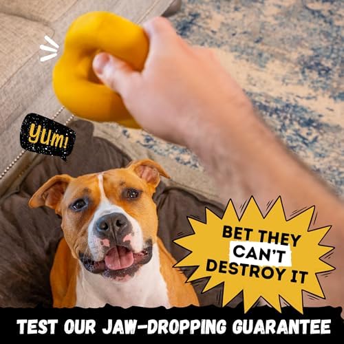 Indestructible Ring Ball - Lifetime Replacement - Strong, Tough, Aggressive Chewers, Medium Large Breed - Non-Toxic Natural Rubber Dog Toys - Yellow - Tug & Fetch - 8x1.75