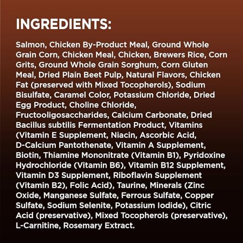 IAMS Advanced Health Immune Health Salmon and Chicken Recipe Adult Dry Cat Food, 3.5 lb. Bag