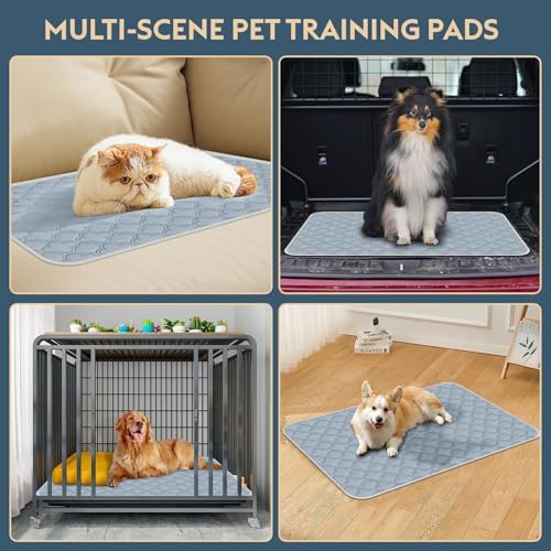 Washable Pee Pads for Dogs - 2 Pack Reusable Pee Pads with Dog Paw Shape Non-Slip Backing (Light Grey, 36" X 36")