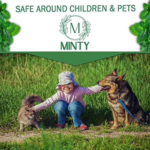 Minty Spider Repellent, Natural 5% Peppermint Oil Spray, Kills & Deters All Types of Spiders and Insects, Indoor and Outdoor Use, 128 fl oz Gallon