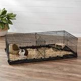 Amazon Basics Leakproof Canvas Bottom Guinea Pig Cage, Easy to Clean Small Animal Habitat with Divider Set, Indoor/Outdoor, Portable, No Tools Needed, 47.6"L x 24.2"W x 14"H, Black