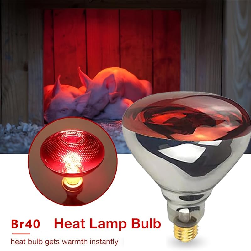 BONGBADA 2 Pack 250W Heat Lamp Red Infrared Bulbs Glass Lamp Bulb for Food Service, Brooder Bulb, Chicks, Pet, Bathroom, Light Therapy Use E26 Base, Flood Light Heat Lamp.