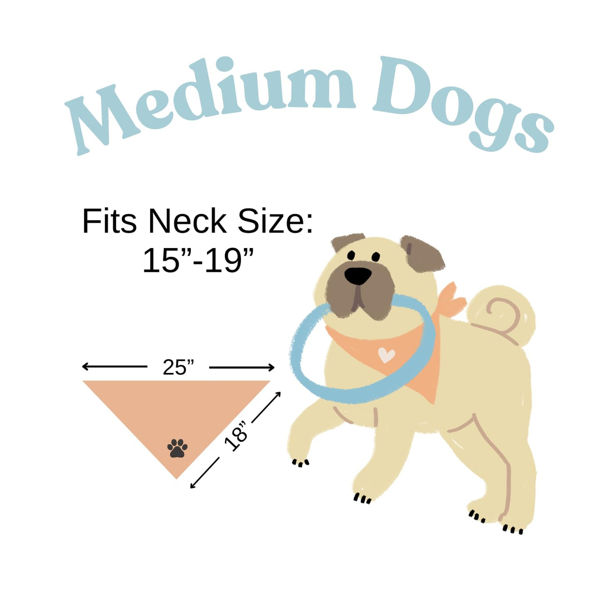 Dog Bandana Birthday Boy Barkday Pawty Attire Oatmeal Beige Boho Simple (Medium)