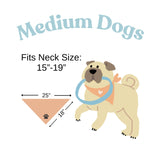 Dog Bandana Birthday Boy Barkday Pawty Attire Oatmeal Beige Boho Simple (Medium)