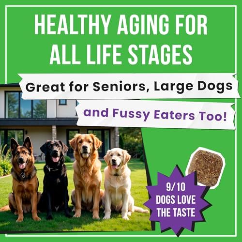 Glucosamine for Dogs - Joints Health Treats w/Omega Fish Oil - Natural Joint Pain Relief - Canine Hip and Joint Supplement w/Chondroitin + MSM + Turmeric + Calcium - 240 Beef Chews