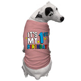 It's My 1st Birthday - First Dog Shirt (Mauve, Large)
