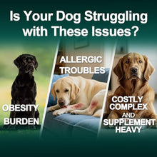 Load image into Gallery viewer, Dog Allergy Relief Chews Itching Skin is Human Multivitamin Pet Allergy Anti Itch Paw Relief and Immune Dog Chews Bites Antihistamine for Dogs Itching and Licking Weight Loss Management Support 200
