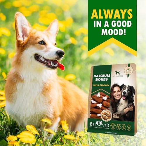Dog Treats, Calcium Bones Wrapped Chicken & Rawhide Free Chew - Pet Healthy Dried Snacks & Grain Free Meat - Bulk Best Chews for Christmas, Training Small & Large Dogs - Made for USA