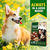 Dog Treats, Calcium Bones Wrapped Chicken & Rawhide Free Chew - Pet Healthy Dried Snacks & Grain Free Meat - Bulk Best Chews for Christmas, Training Small & Large Dogs - Made for USA