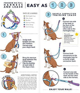 2 Hounds Design Freedom No Pull Dog Harness, Adjustable Harness, Easy Walking & Comfortable Control, Fits Small, Medium & Large Dogs, Solid Colors, Made in USA, 1" LG, Teal