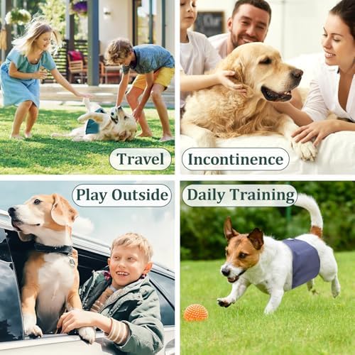 Reusable Dog Diapers Male, Premium Washable Belly Bands for Male Dogs Extra Small, Pack of 5, High Absorbing Male Dog Wraps for Doggie & Puppy in Incontinence or Excitable Urination and Training(XS)