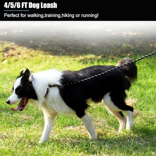 2 Pack Dog Leash, 4/5//6 FT Heavy Duty Nylon Rope Pet Leashes with Comfortable Padded Handle, Reflective Dog Leashes for Small Medium and Large Dogs (6FT-1/2,Black/Black)