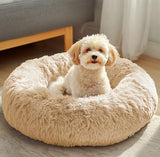 JOLLYVOGUE Dog & Cat Bed, Calming Anti-Anxiety Pet Bed for Small Dogs, Fluffy Donut Cushion for Small and Medium Pets (24")