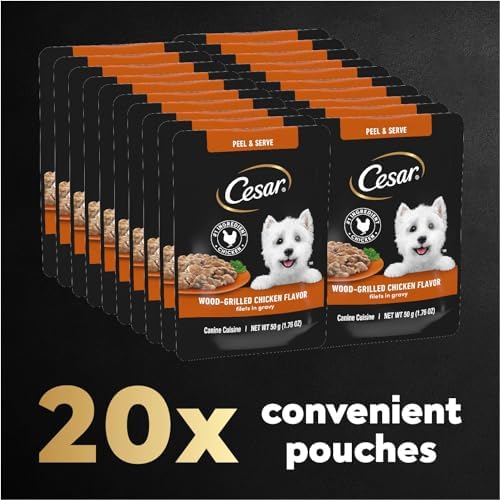 Cesar Filets in Gravy Wet Dog Food Wood-Grilled Chicken Flavor, 1.76 oz. Mini-Pouch, 20 Pack