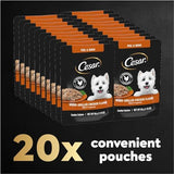 Cesar Filets in Gravy Wet Dog Food Wood-Grilled Chicken Flavor, 1.76 oz. Mini-Pouch, 20 Pack