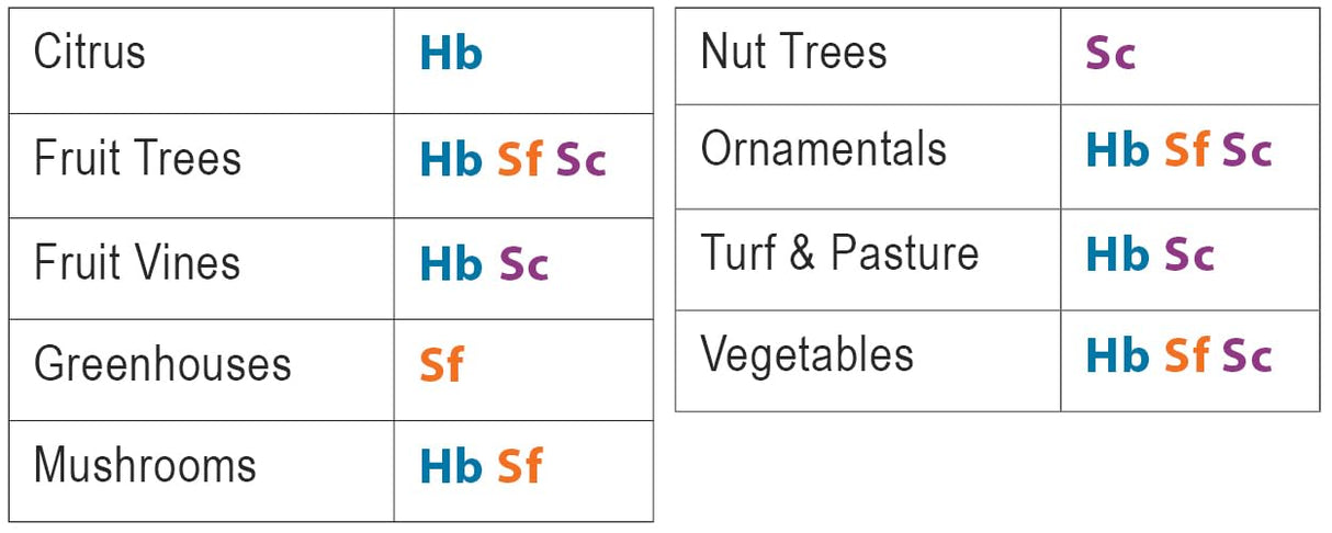 10 Million Live Beneficial Nematodes Hb & Sf - Kills Over 200 Different Species of Soil Dwelling and Wood Boring Insects.