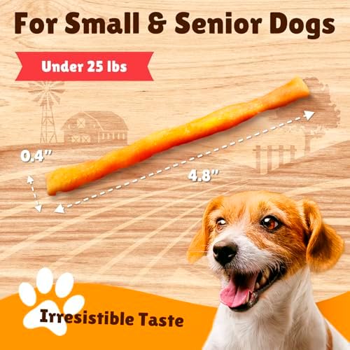Gootoe Soft Turkey Tendon Dog Treat– Natural Chewy Snack, 100% USA-Sourced, Premium Training Chew, Reseal Value Bag, Ideal for Small & Senior Dogs, Soft Strip with Pumpkin Jumbo Pack, 1 lb (Pack of 1)