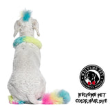 WELYEME Dog Hair Dye Rainbow, Permanent Pet Hair Dye, Professional Dog Safe Hair Dye, Bright Color for Dogs and Horses(Rainbow)