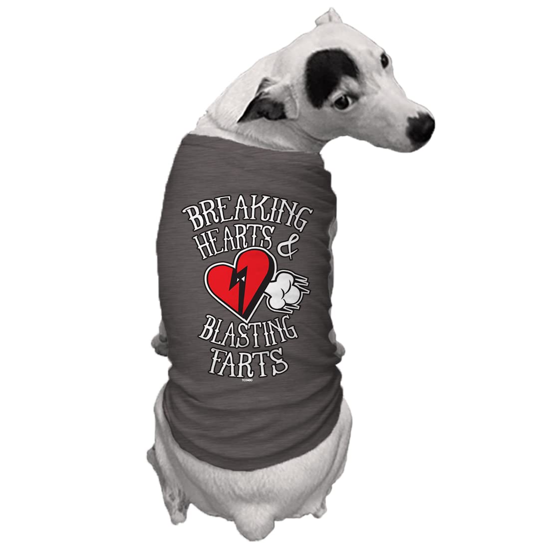 Breaking Hearts & Blastings Farts Dog Shirt (Dark Gray, X-Large)
