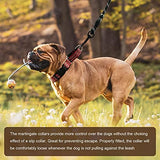 Hikiko Martingale Dog Collars Reflective Nylon Dog Collar with Quick Release Buckle Adjustable Training No Slip Dog Collar (X-Small, Red)