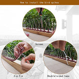 10 Pack Bird Spikes-11.81 x 0.82 x 3.93 Inch Upgraded Bird Spike Stainless Steel-Bird Deterrent Spikes Keep Pigeon,Raccoon, Cats, Crow Away -Bird Spikes Fence for Railing and Roof (Brown)