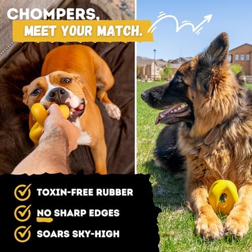 Indestructible Ring Ball - Lifetime Replacement - Strong, Tough, Aggressive Chewers, Medium Large Breed - Non-Toxic Natural Rubber Dog Toys - Yellow - Tug & Fetch - 8x1.75
