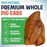 Whole Pig Ears for Dogs Large - 6 Pack Long Lasting Dog Chews – One Ingredient Delicious All Natural Flavor – Easy to Digest Dog Treats for Large Dogs - Great for Teeth and Gums