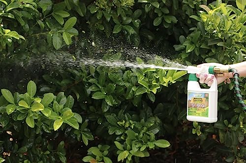 CedarStop 32 Ounce Essential Oil Yard Spray - Plant Based Flea, Tick And Mosquito Repellent Pest Control Spray Treatment And Insect Killer - Safe Around Kids, Pets, And Plants