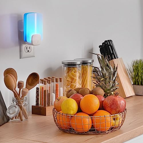 Raid Essentials Flying Insect Light Trap Starter Kit, 2 Plug-In Devices + 2 Cartridges, Featuring Light Powered Attraction