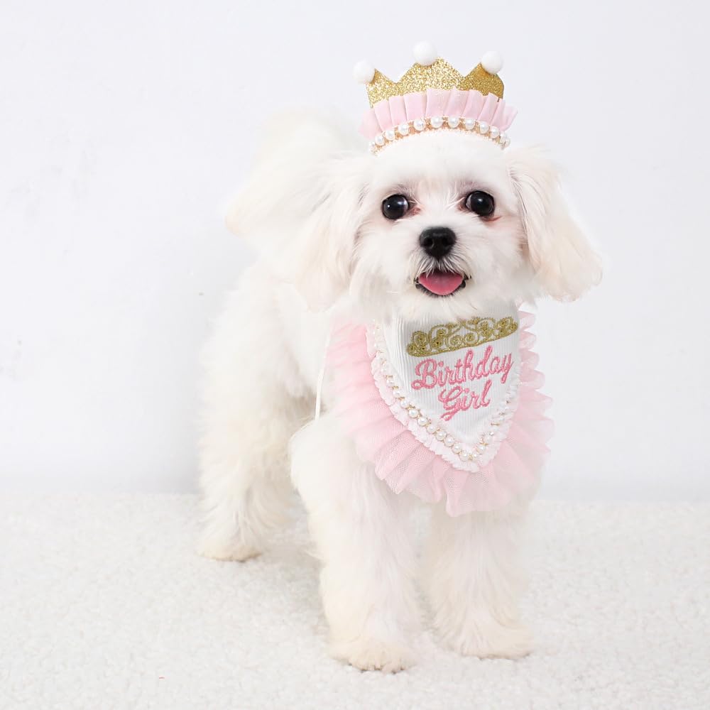 Princess Dog Crown Hat Scarf Set, Dog Birthday Hat Dress Outfit, Wedding Party Supplies for Girl Cats and Small Mini Dogs (GoldPearl)